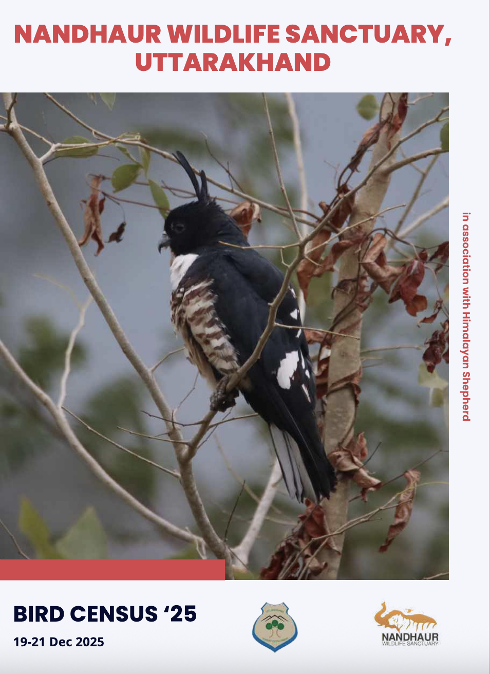 Final Bird Census Report 2025 Nandhaur